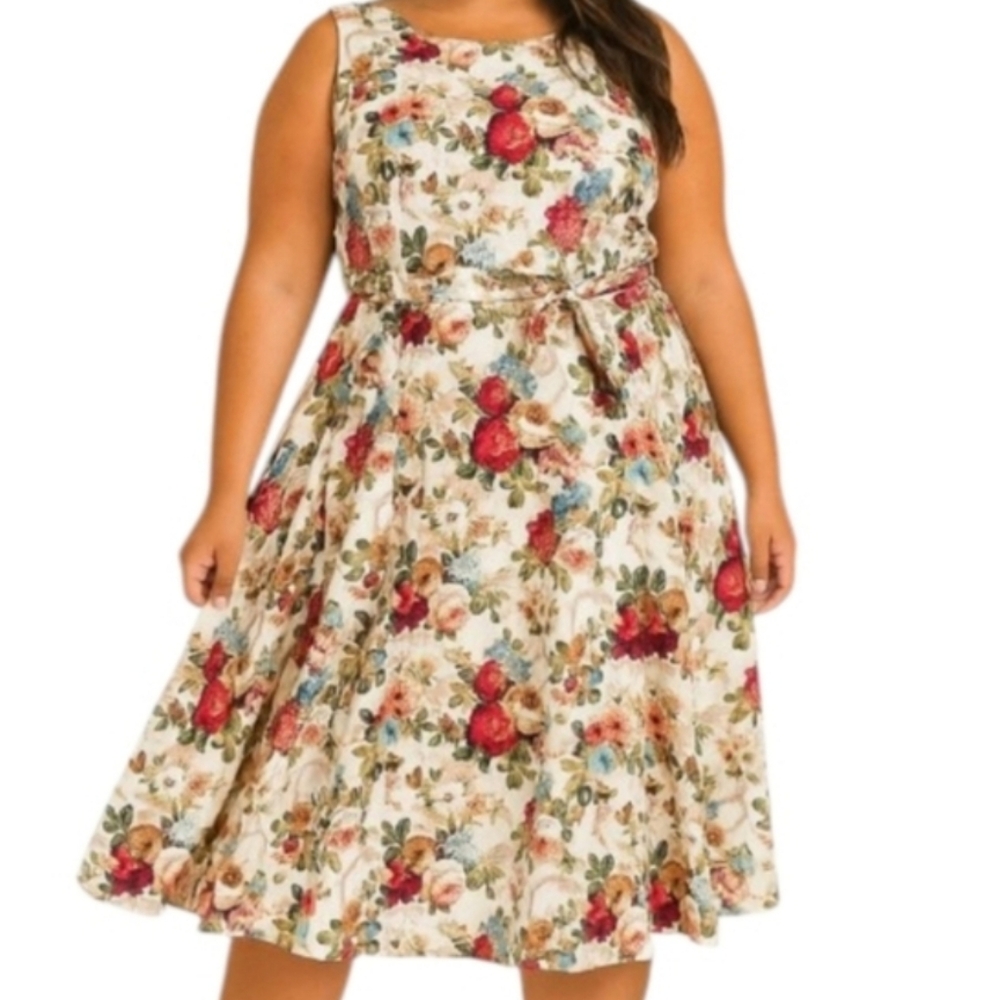 Floral Cream Cotton Blue Sleeveless Red Fit Flare Green Dress 2X